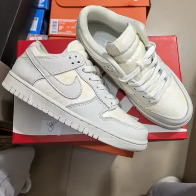 NIKE DUNK SB APEXSKATE SHOES 1:1